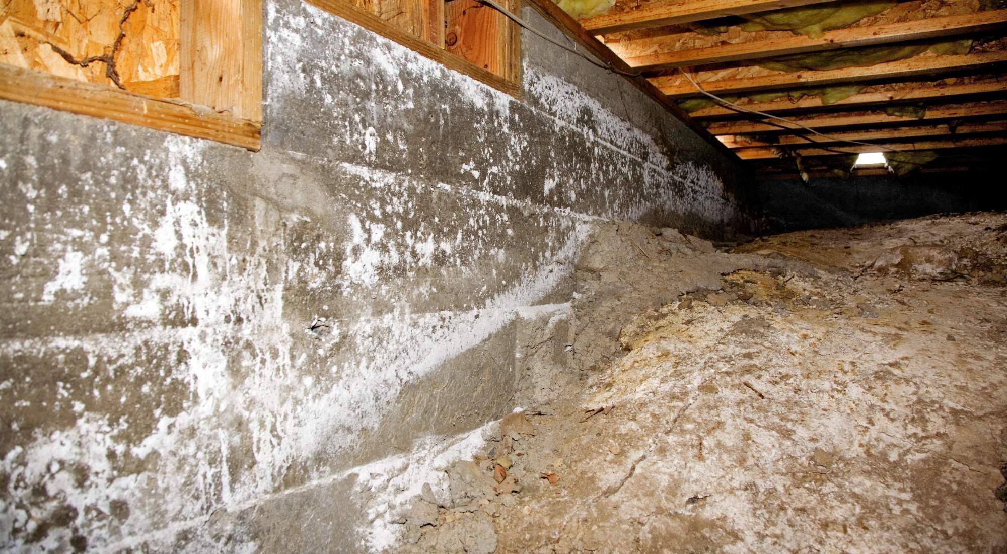 White mineral deposits and efflorescence on crawl-space masonry in Raleigh, NC