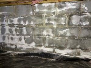 White, powdery efflorescence staining on a crawl-space masonry block wall in a Raleigh, NC home