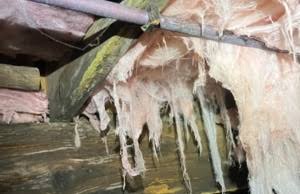 Wet, moisture-damaged fiberglass insulation sagging in a Raleigh-area crawl space